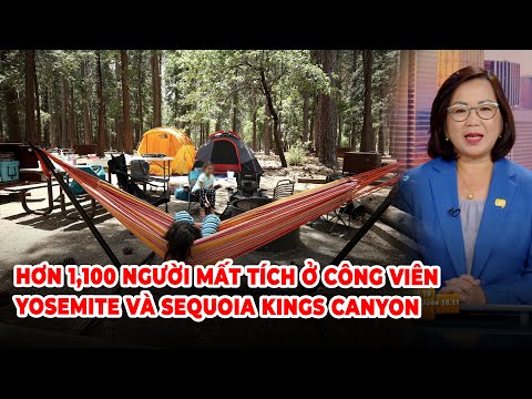 Video: Công viên quốc gia Sequoia và Kings Canyon: Hướng dẫn đầy đủ