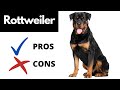 Rottweiler Pros And Cons | The Good AND The Bad!!