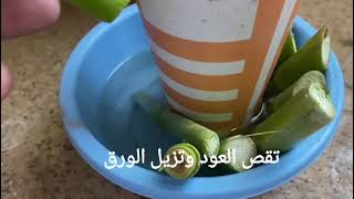 اكثار الاعلاف بسرعه