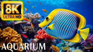 Aquarium 8K ULTRA HD - Beautiful Relaxing Coral Reef Fish - Relaxing Sleep Meditation Music