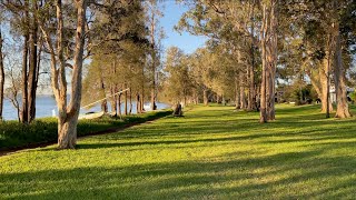 Golden Lakeside Walk by Blue Boy Backpacking 1,193 views 4 years ago 31 minutes