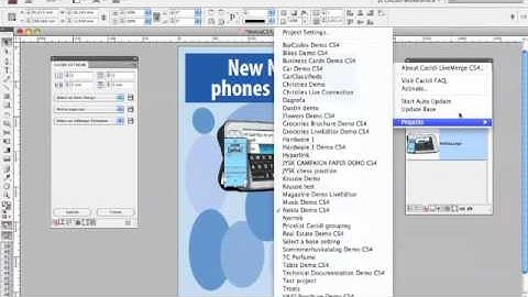 Grouping data with Cacidi LiveMerge and Cacidi Extreme (English speak)