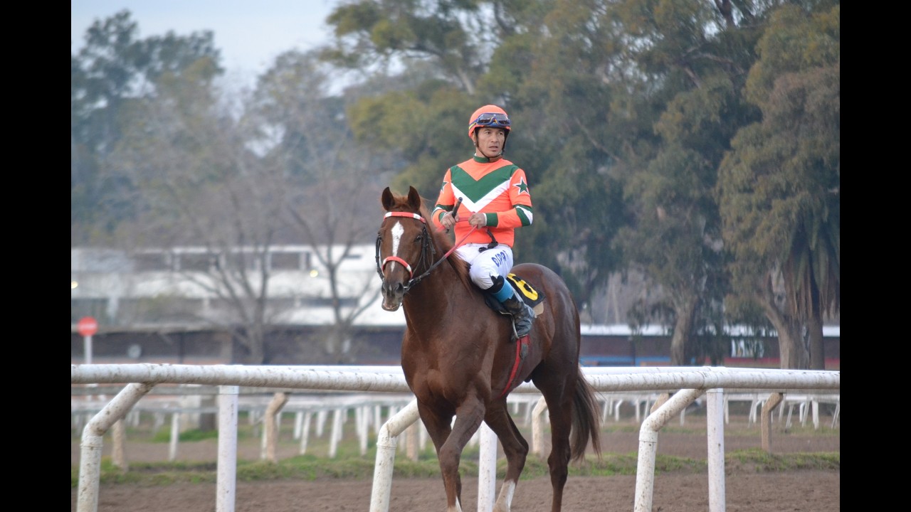Clásico 9 de Julio - Día de la Independencia (G3) 2026 - Sabiyano (Fortify)