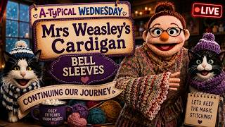 Mrs Weasleys Cardigan | Bell Sleeves Part 2: Continuing Our Journey ⭐