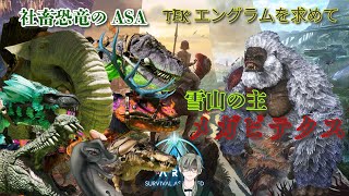 【TEKエングラムを求めて　雪山の主！メガピテクス！】 #vtuber  ＃ARKSurvivalAsended #メガピテクス