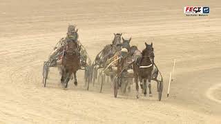 Vidéo de la course PMU PREMI MIRA PRIM