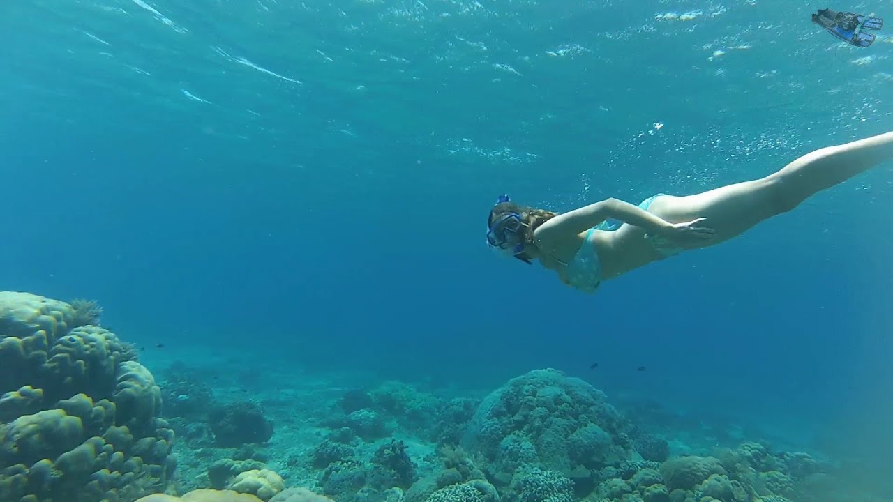 amed snorkeling trip