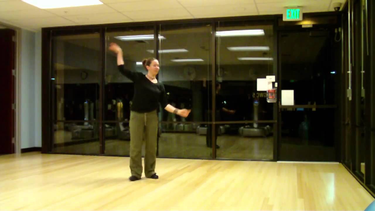 exercise 14.1 class 11 Los Campeones Salsa - Lady's solos steps