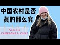 外國女孩回應外國網友質疑,中國農村是否真的窮// Com’è la campagna in Cina?