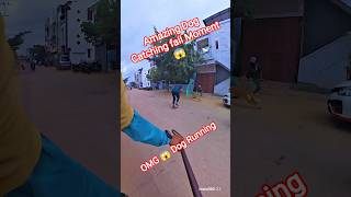 Nepali Dog Catcher Aggressive Dog #dog #nepal #streetdogrevival #shorts #ytviral