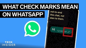 What Do The Check Marks Mean On WhatsApp? | Tech Insider