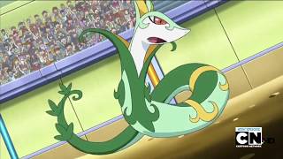 [Pokemon Battle] - Serperior vs Darmanitan