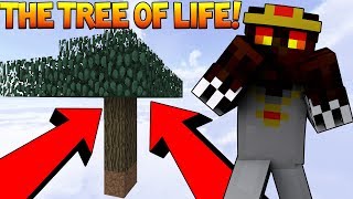The Tree Of Life!?! - Minecraft: Sky Factory #3 Ep. 1 screenshot 4