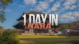 Nara Japan in 1 Day - Best Things to Do and See #nara #japantravel