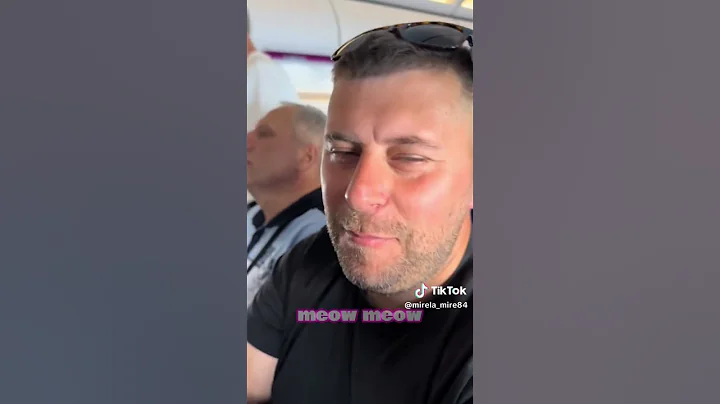 Video 9637601: persian cat mainecoon, mainecoon kitten meow cat, cat vs persian, cat meowing talking, birman cat meowing