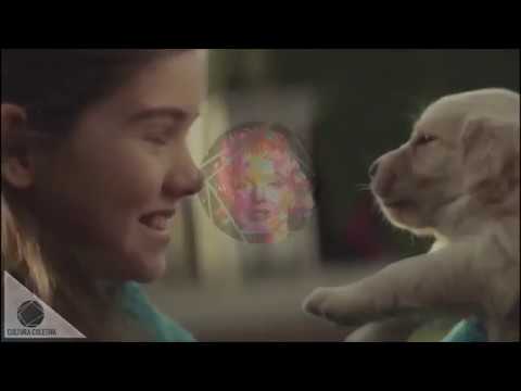 Vídeo: Por Que Os Cães Escolheram O Homem: é Tudo Sobre O Hormônio Do Amor