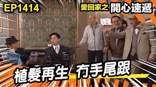 愛.回家之開心速遞 | 第1414集精華 | 植髮再生 冇手尾跟