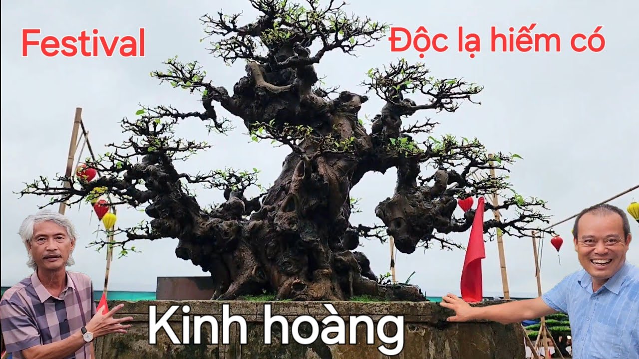 Những cây có nét kỳ lạ đặc biệt ở festival thủ đô