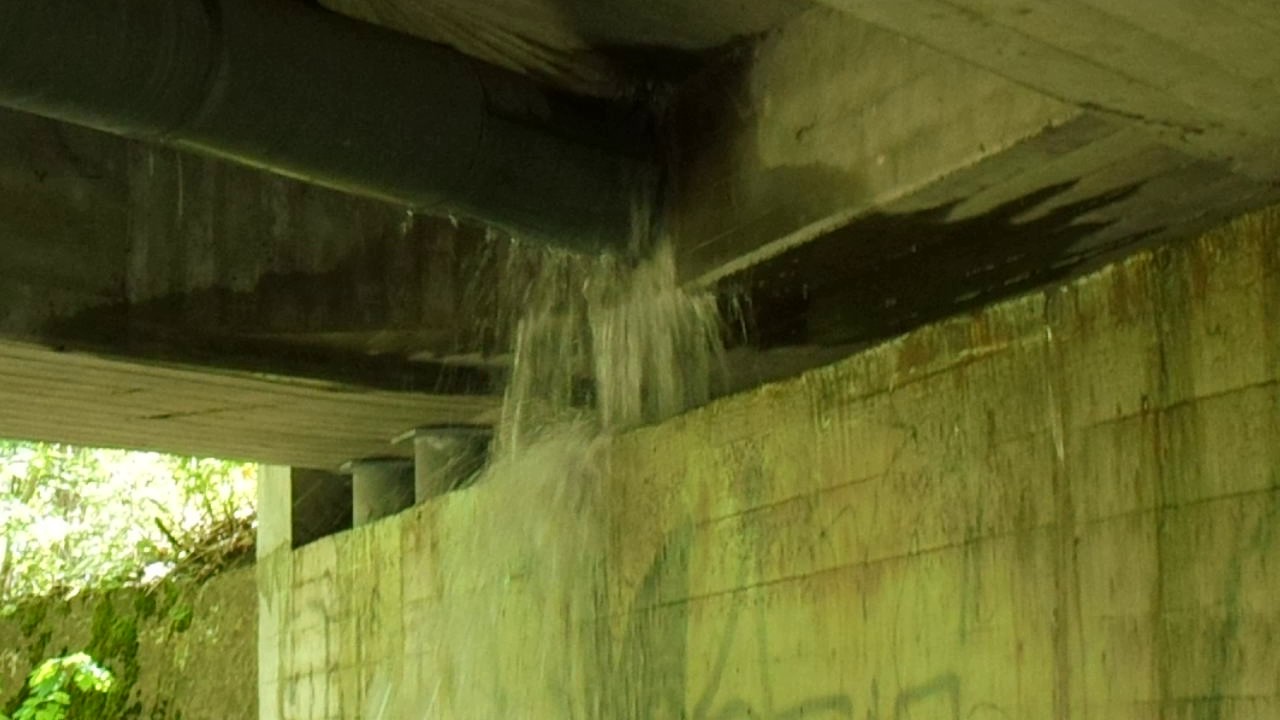 Wasserrohrbruch setzt Toitenwinkler Allee in Rostock unter Wasser