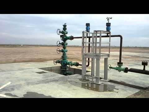 wellhead-a-short-view