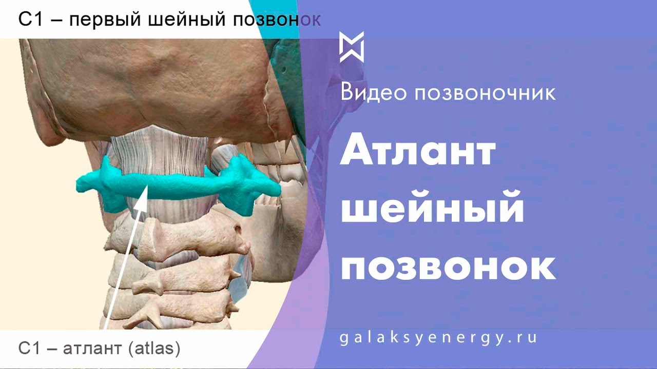 Атлант. Шейный отдел позвоночника - YouTube