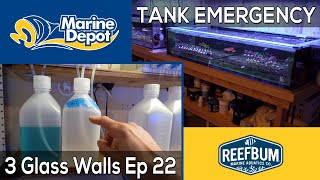 TANK EMERGENCY!: 3 Glass Walls with Reefbum Part 22