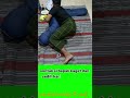 wake up late for dawn🤪😜#shorts #status #comedy #funny #fyp