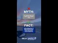 Myth vs. Fact: All-season tires are better than summer tires