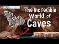 Cave Ecosystems and Adaptations