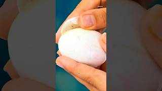 Top Secret Genius Kitchen Hacks You Should Know 🍵🤯