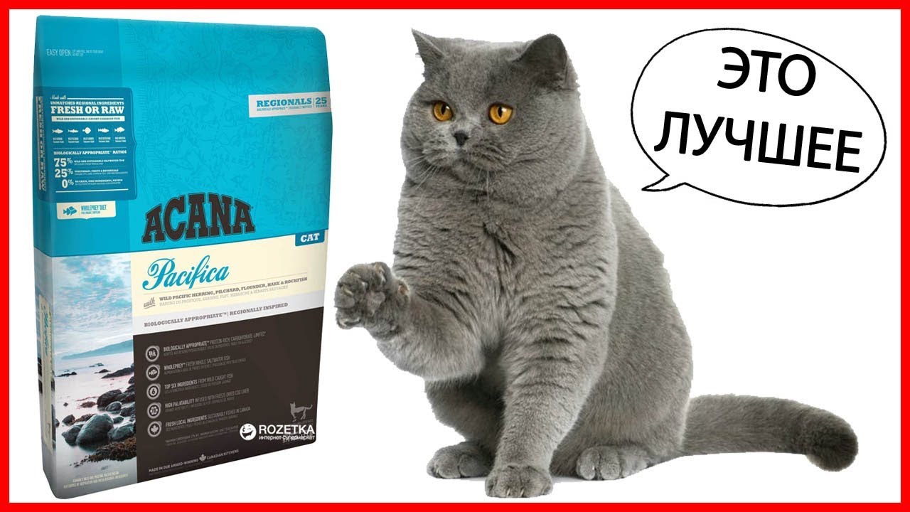 Купить Акану Для Кошек В Интернет Магазине