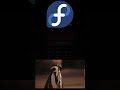 Fedora Vs Ubuntu #fedora #ubuntu #immutable #linux