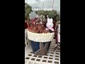 【多肉植物】雨が降った日多肉達それぞれの夏・焦げた子バラバラになった子のその後 Shorts 54