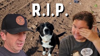 Laying Our Top Dog To Rest