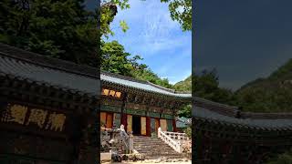 Gyeryongsan National Park😍 south korea 🇰🇷 # short