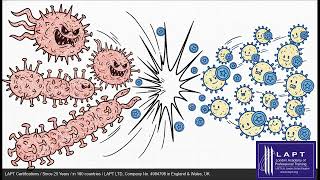 LAPT_Videos/English/CBSE/CBSE Academic/Class 12/Biology/Chapter 8 — Microbes in Human Welfare - 8.2