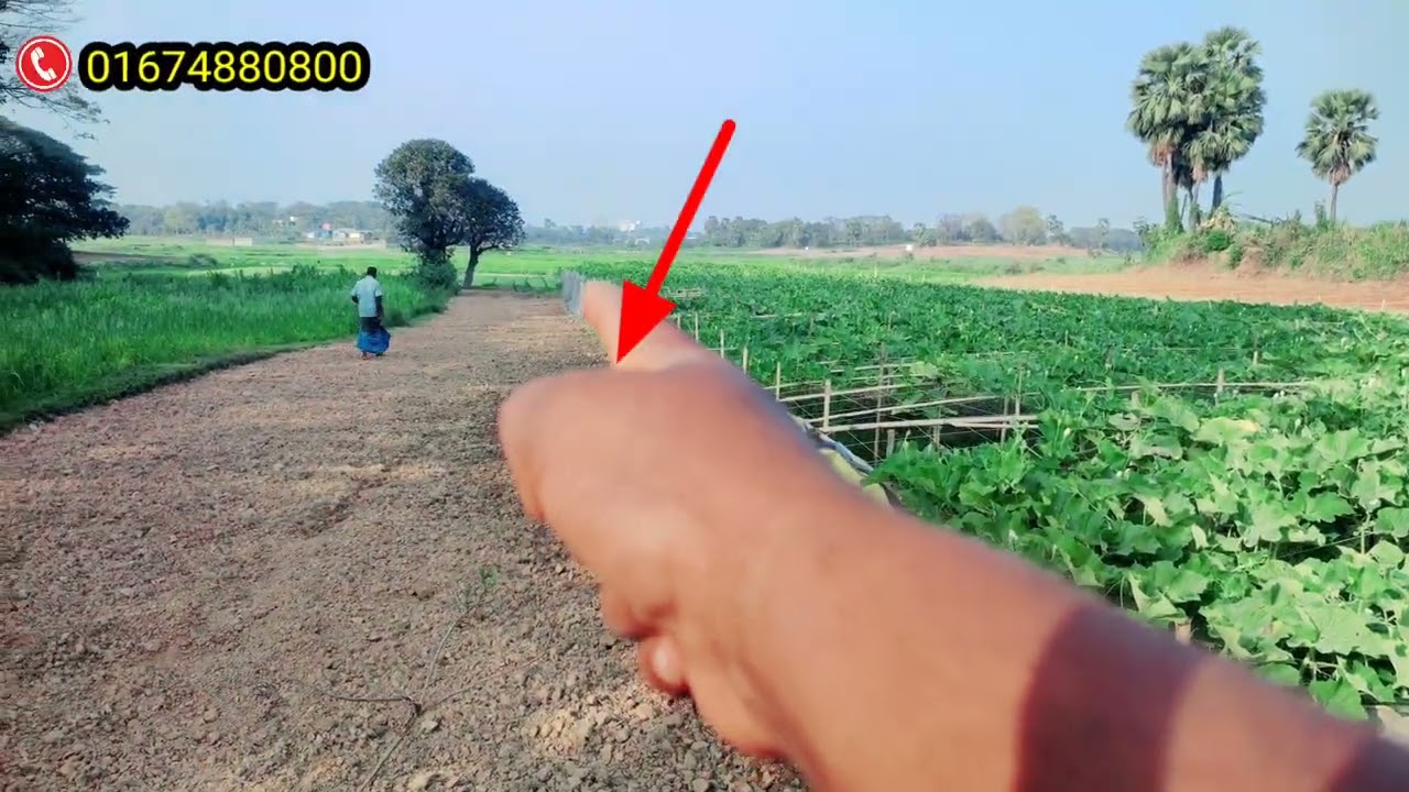 ঢাকা মিরপুর উওরার সন্নিকটে বিরুলিয়ার সারুলীয়া সরকারি রাস্তার সাথে ৩৩ শতাংশ জমি বিক্রয় করা হবে।