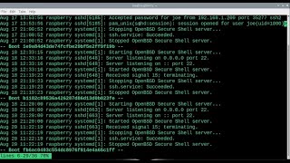 Check Raspberry Pi SSH Log and Authentication Failures Wealth