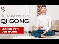 Die Ursprünge des Qi Gong | Altes loslassen und Neues aufnehmen