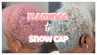 Grey Silver Hair with Ion Color Brilliance Flamingo to Snow Cap