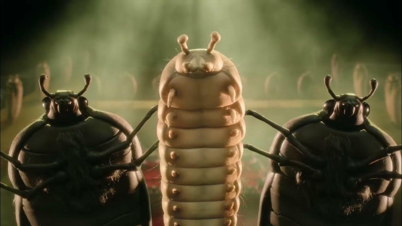 Bugs and humans