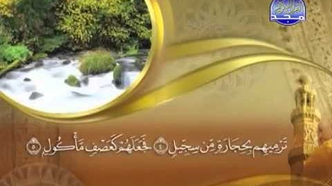 105 سورة الفيل - ماهر المعيقلي