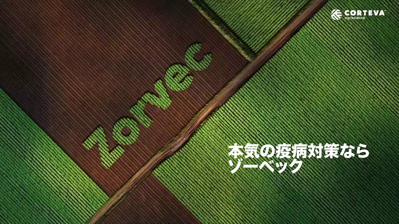 疫病のリスクからの日本の馬鈴薯を守る「ゾーベック™ エンカンティア™」