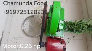Mini chaff cutter machine for cutting feed and Vegetables Saag Dhaniya Pudina