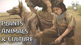 How do plants and animals (including dogs) shape societies? | (Short film)