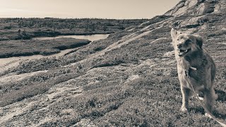 Sorrow&#39;s End Trail in Terence Bay, NS - September 3, 2023