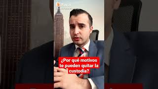 ¿Por qué motivos te pueden quitar la custodia?