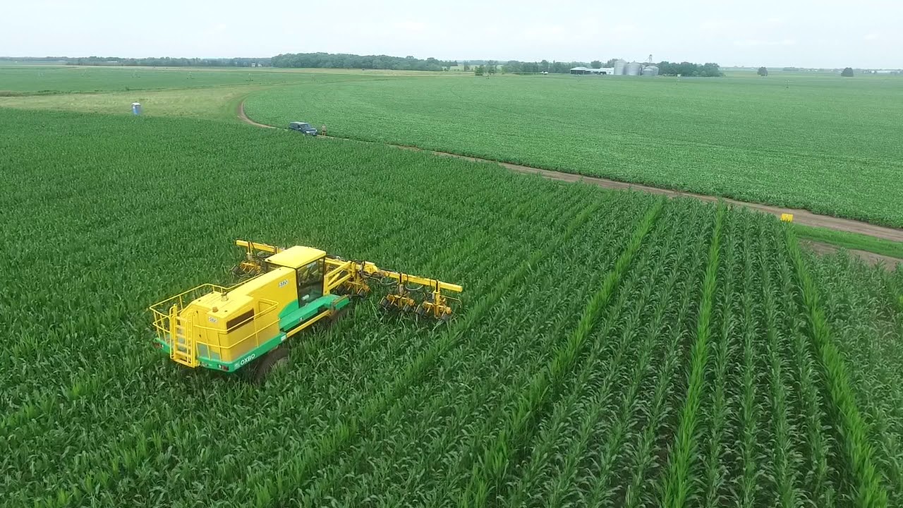 Oxbo 5170 Detasseler