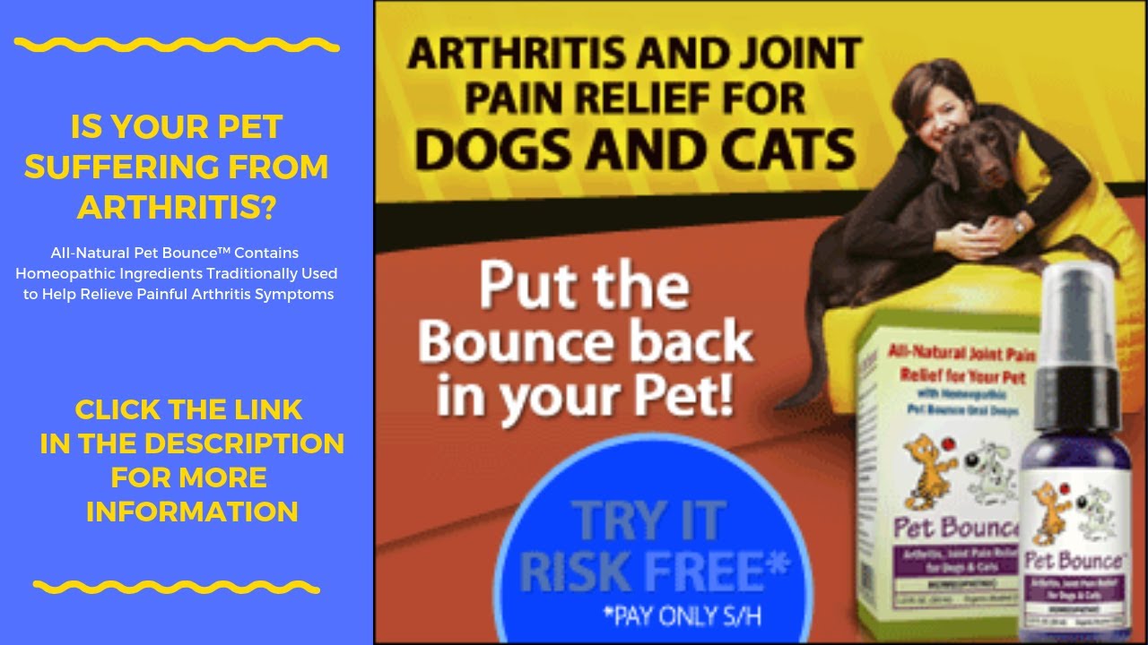Arthritis Medication For Dogs How To Treat Arthritis In Dogs