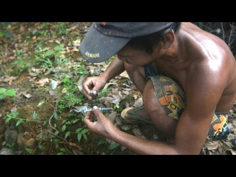 fighting north myanmar s addiction curse with sticks and prayers youtube fighting north myanmar s addiction curse with sticks and prayers